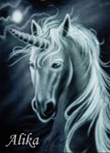 Avatar de Usuario
