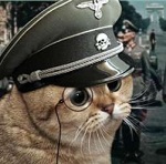 Avatar de Usuario